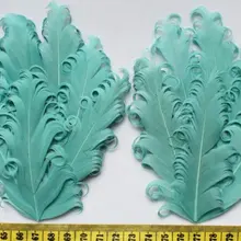 Набор из 10 шт. Аква Курчавый гусиное Перо колодки Вьющиеся Nagorie колодки перо