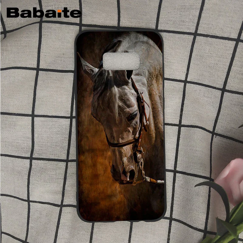 Frederik The Great beauty horse