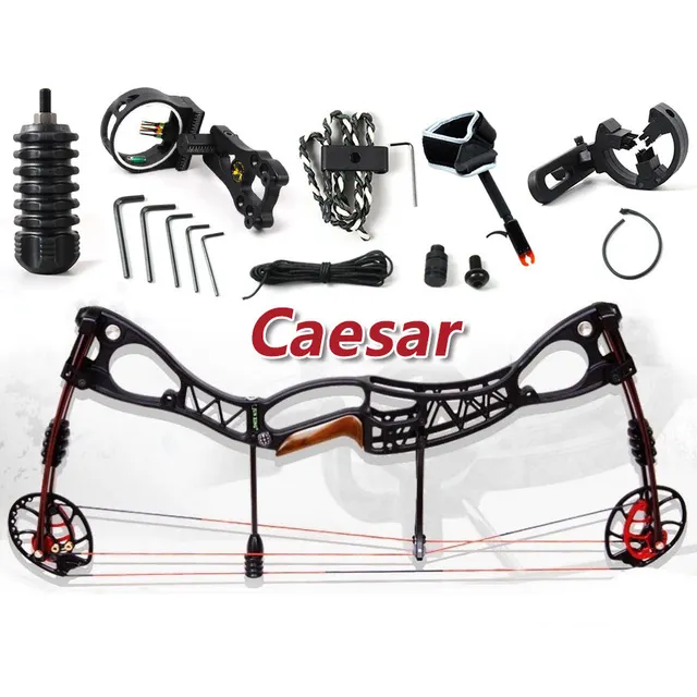 Best price at $350 Cheap The Caesar bow, Black color Hunting Compound Bow Set, for human outdoor hunting