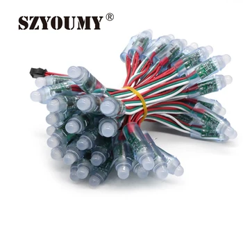 

SZYOUMY WS2811 Diffused Digital RGB LED Pixel String Light 12mm Individually Addressable Round LED Module 50pcs/Set IP65 DC5V