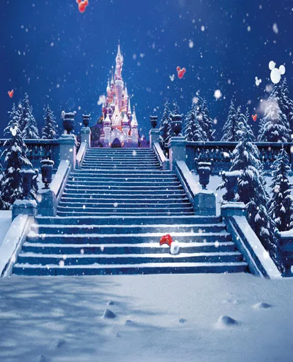

LIFE MAGIC BOX Photography Backdrops 300Cm*200Cm Disneyland Castle On The Steps Of The Snow Cm-5199