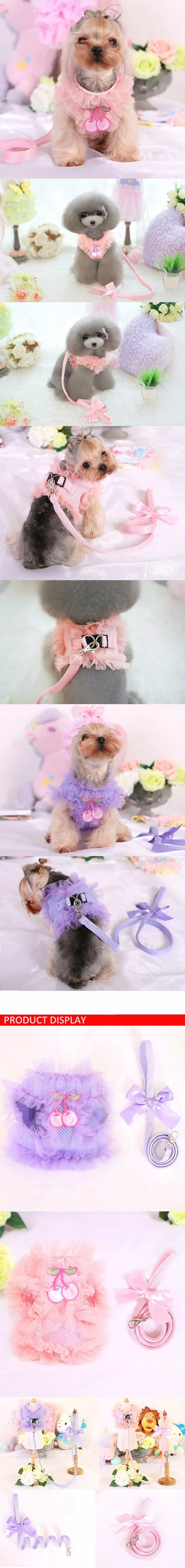 Small Dog Harness and Leash Set  (1)