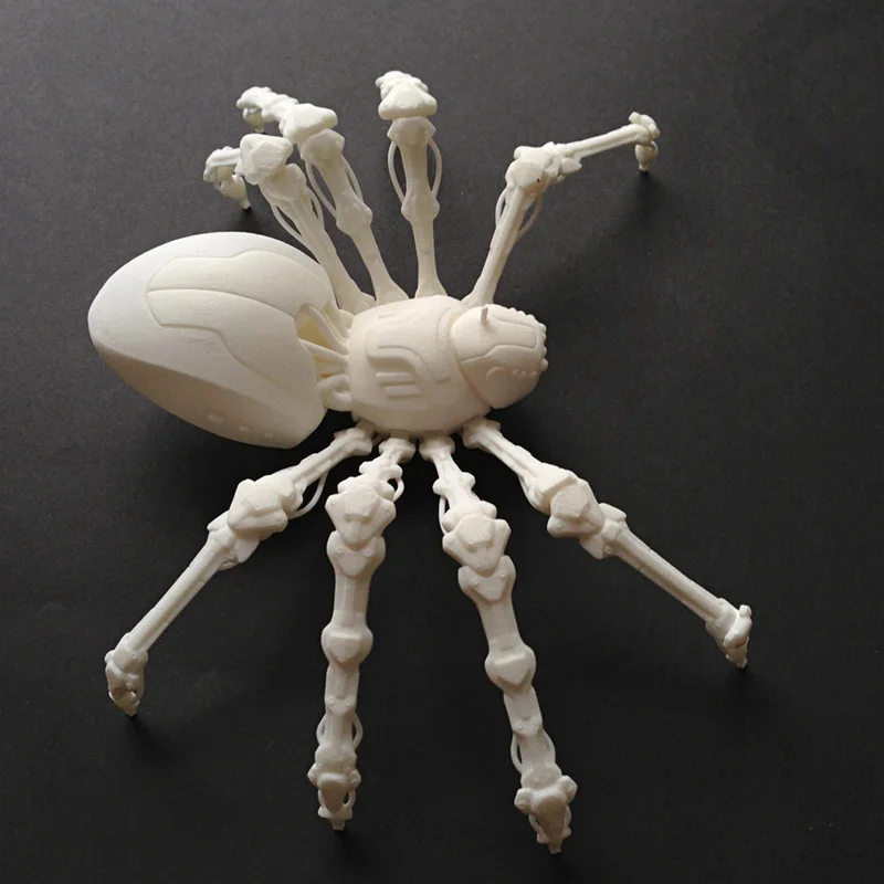 spider3 