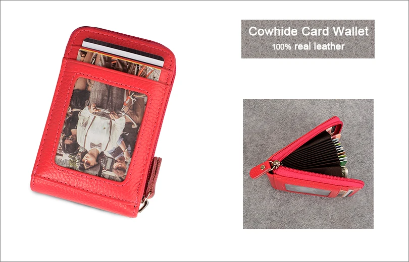 HTB1SX4iSpXXXXa7XVXXq6xXFXXX1