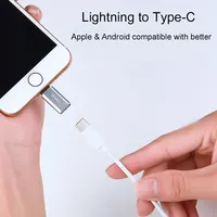 כבל usb עבור iphone WIWU OTG כבל מתאם עבור ברק טלפון אנדרואיד iPhone מסוג C מיקרו- USB נייד מסוג C Fast טעינה USB 3.0 ממיר (5)