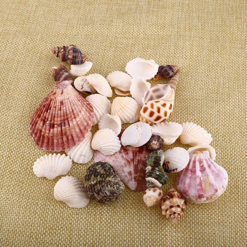 30 шт./пакет микс Аквариум Пляж морской DIY ракушками Смешанные Оптовые около 100g Sea Shell