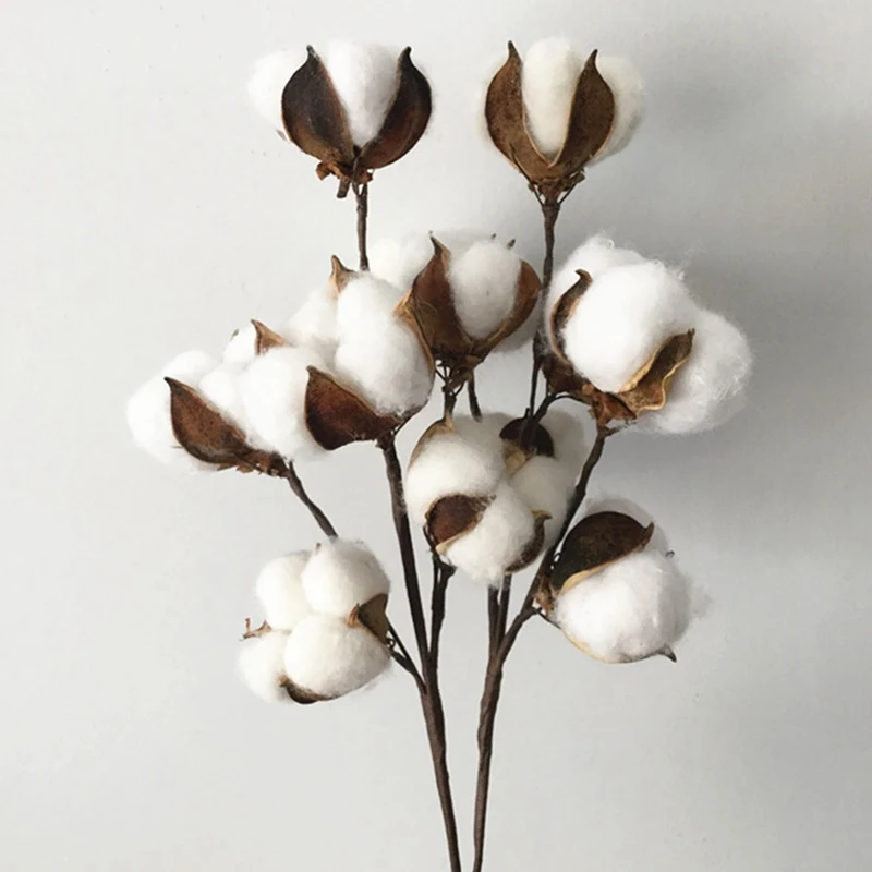 

6 Heads Branch Flowers Natural Dried Cotton Artificial Plants Flowers Branch For Home Wedding Decoration Fake Flowers Decor