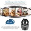 Video Surveillance