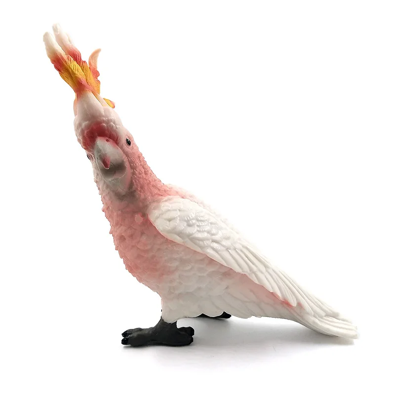 Simulation Forest Toucan Cockatoo Figures Animal Model Bird Parrot Figurine Plastic Home decor ornaments decoration statue toys Simulation Forest Toucan Cockatoo Figures Animal Model Bird Parrot Figurine Plastic Home decor ornaments decoration statue toys