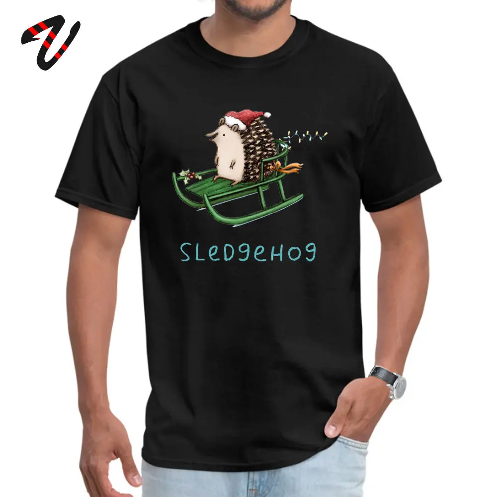 

Christmas Sledding Hedgehog Tshirts Xmas Honolulu Happy New Year Autumn Sweatshirt 100% Cotton Fabric Leisure Tee Shirt for Men
