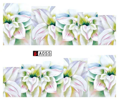A055