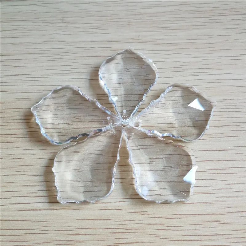   (6)