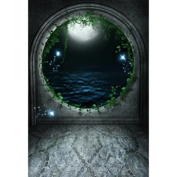 

LIFE MAGIC BOX Photography Backdrops Kids Round Door Vinyl Christmas S Photo Studio Background S-2103