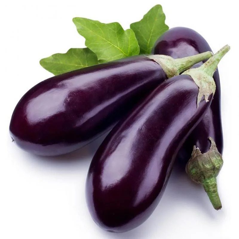 

100 Pcs Seedsplants Black Eggplant Bonsai ,Exotic Eggplant Bonsai,Rare Aubergine, Organic Fruit Vegetable, Plant For Home Garden