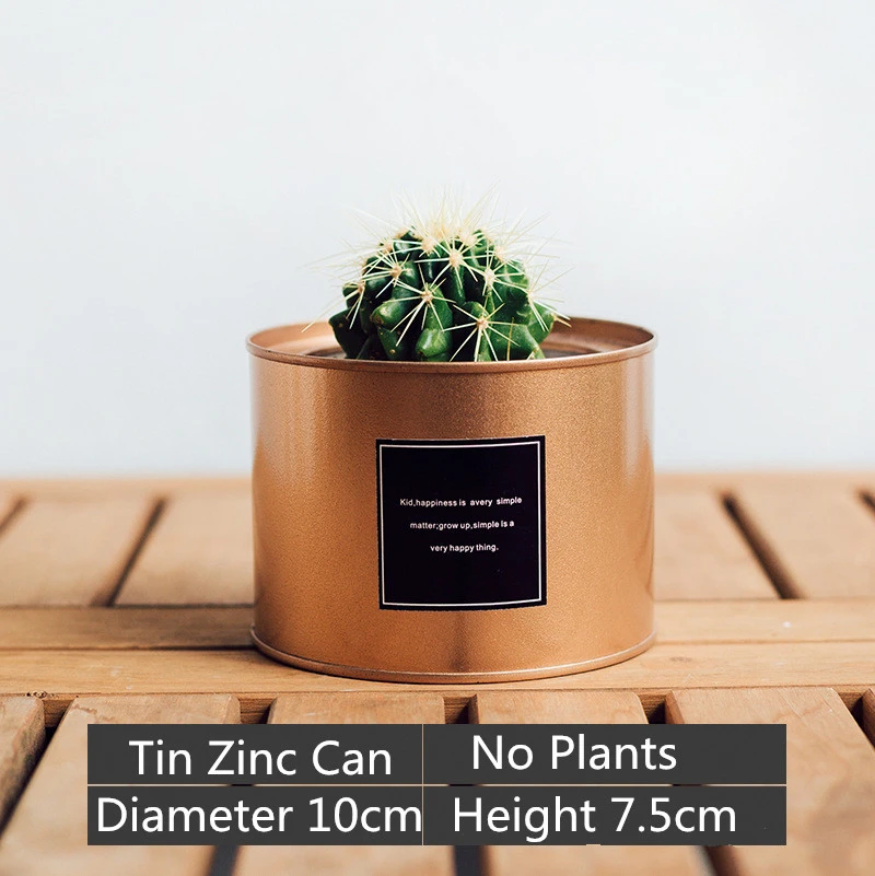 Tin Zinc Can Diy Planter Flower Pot Pen Holder Organizer Storage Rustic Cacti Small Champagne Planter Flowers Planters Flower Potsdiy Planters Aliexpress