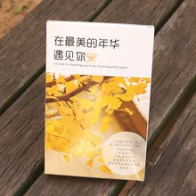 1 комплект [интервал года] с вами в лучшие годы книги по искусству Закладка 30 листов/коробка