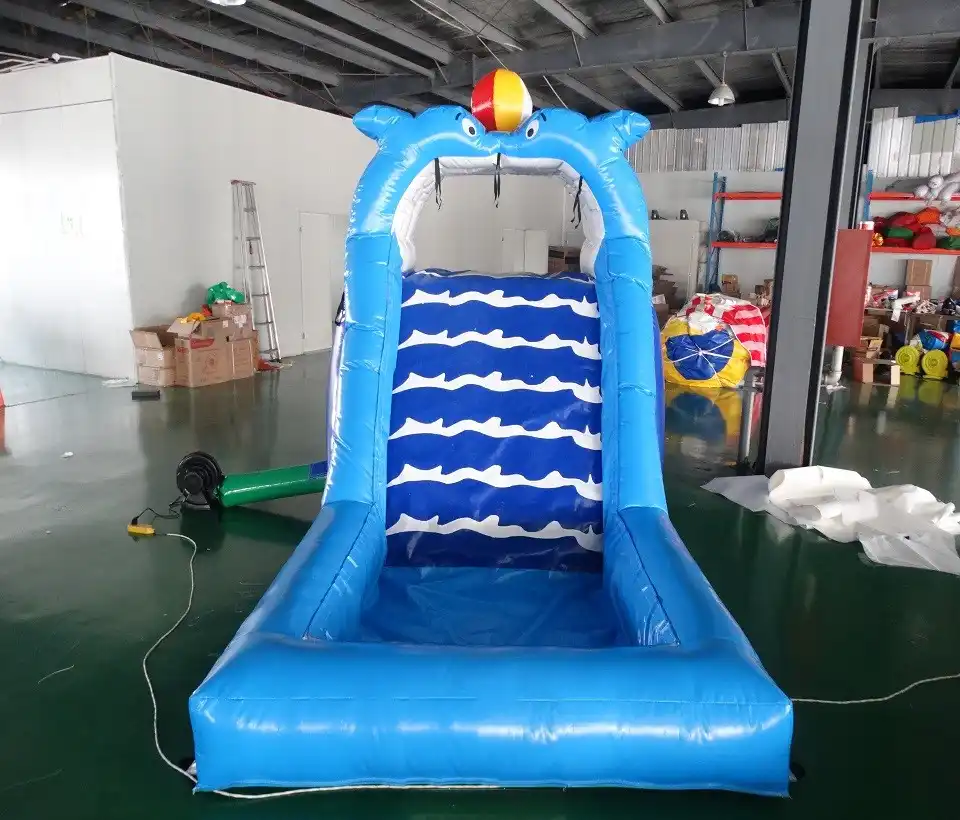 dolphin inflatable water slide