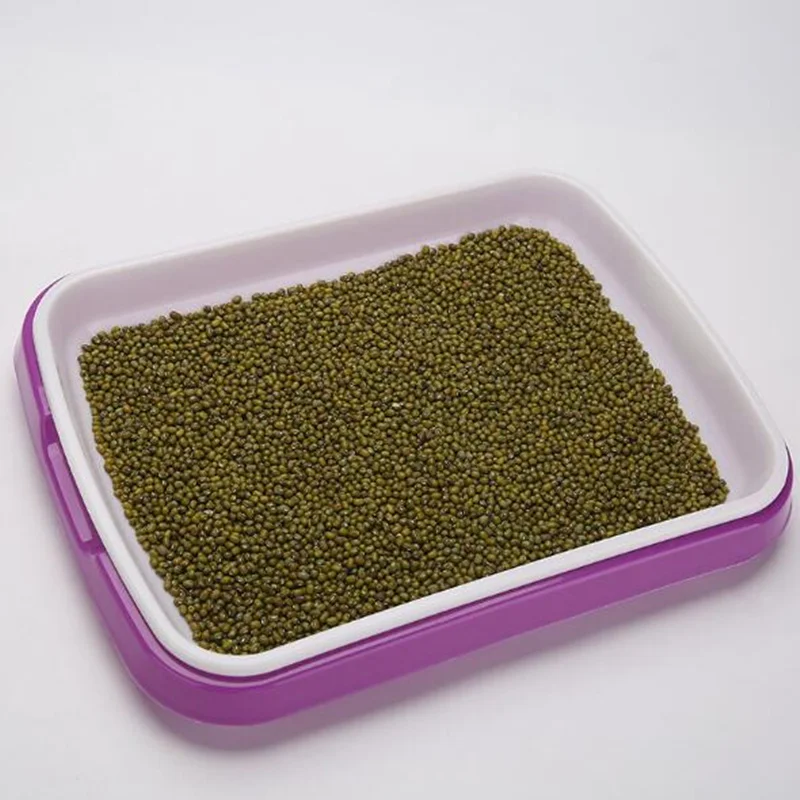 1 set Double Layer Bean Sprouts Plate Seedling Tray Hydroponics System To Grow Nursery Pot Box Basket for Home Green Seed Tools 1 set Double Layer Bean Sprouts Plate Seedling Tray Hydroponics System To Grow Nursery Pot Box Basket for Home Green Seed Tools
