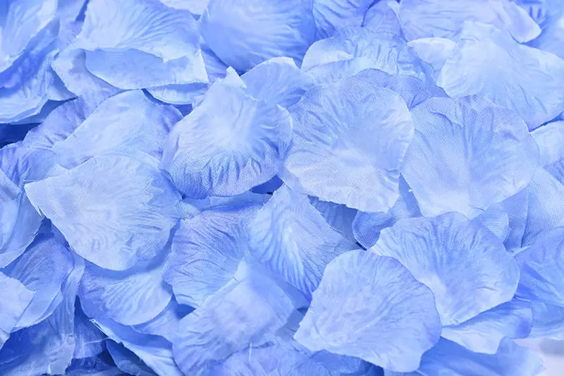 2382-29-10pcs-blue-