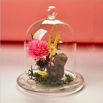 

Free Shipping Glass Base Diameter=9cm Different Height Ball Top Glass Dome Vase Home DecorativeGlass Cover Wedding Favor Gift