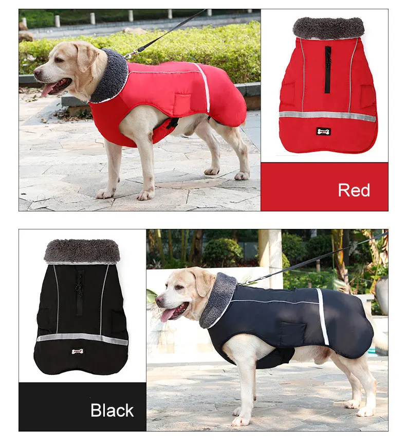 1-(5)