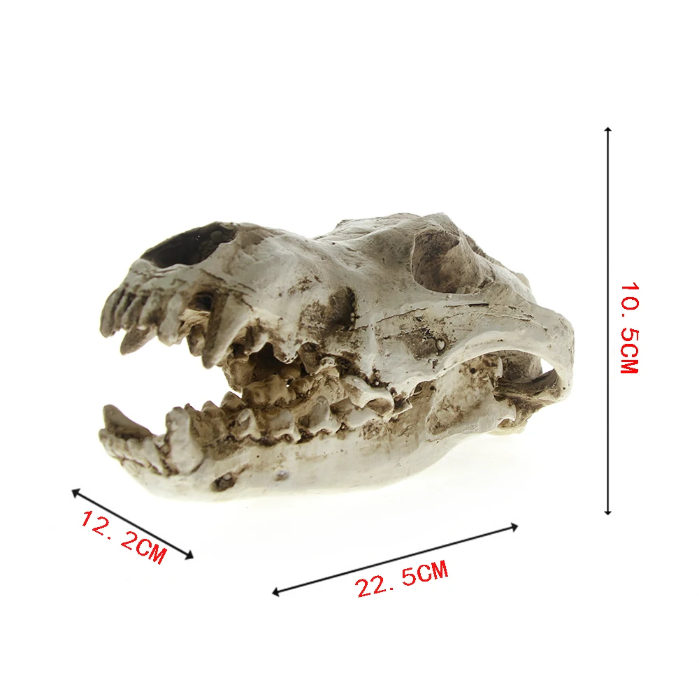 Волк череп таксидермия голова животного большой хищник Dire Смола череп голова модель фигурка коллекция бар Настольный Декор античный вид