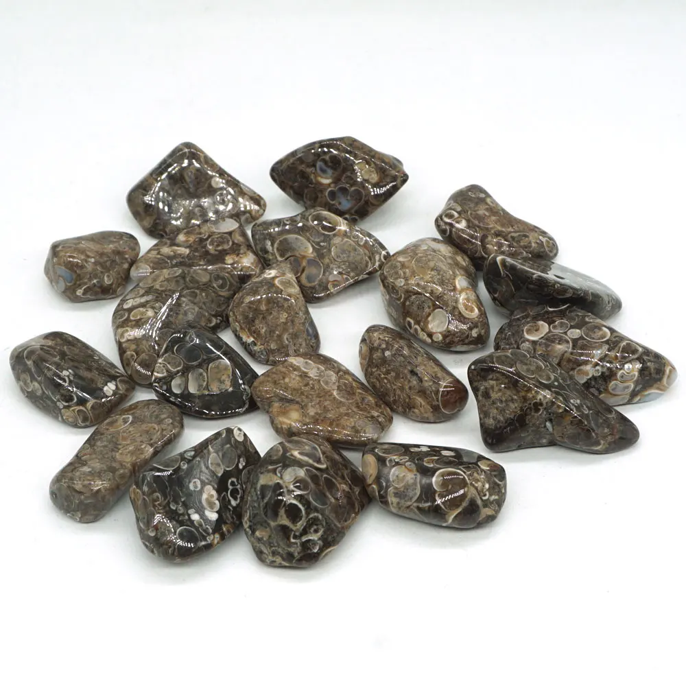 

Turitella Agate Tumbled Stone Irregular Polished Natural Rock Quartz Chakra Healing Decor Minerals Collection