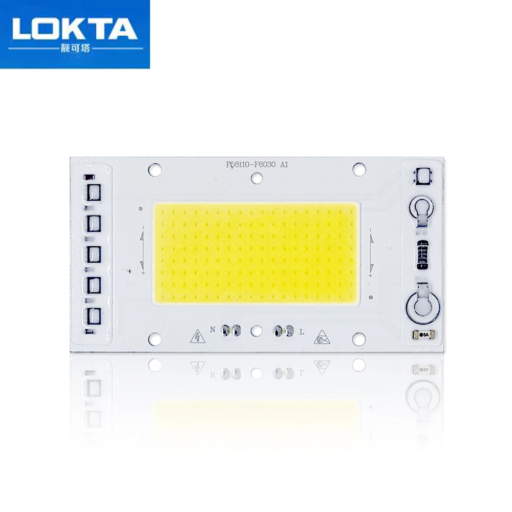 

10PCS/LOT LED COB Chip Lamp 30W 40W 50WAC 220V Smart IC Fit For DIY LED Floodlight White