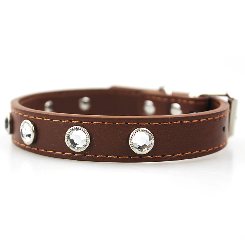 dog collar 5