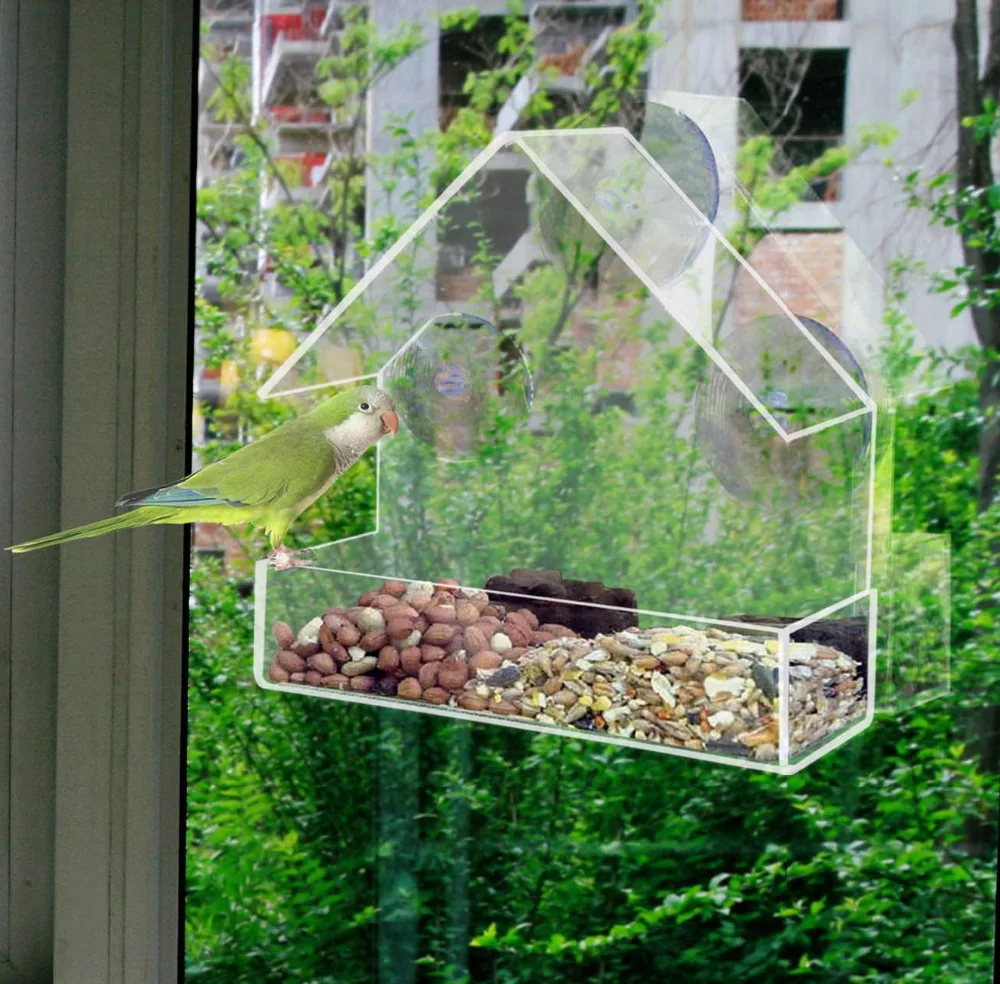 US Window Bird Feeder Wild Table Hanging Suction Perspex Clear Viewing Seed Tool 