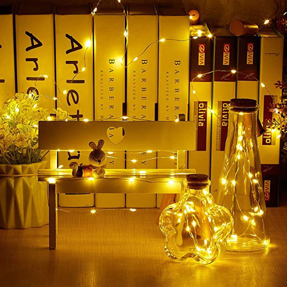 holiday light (13)