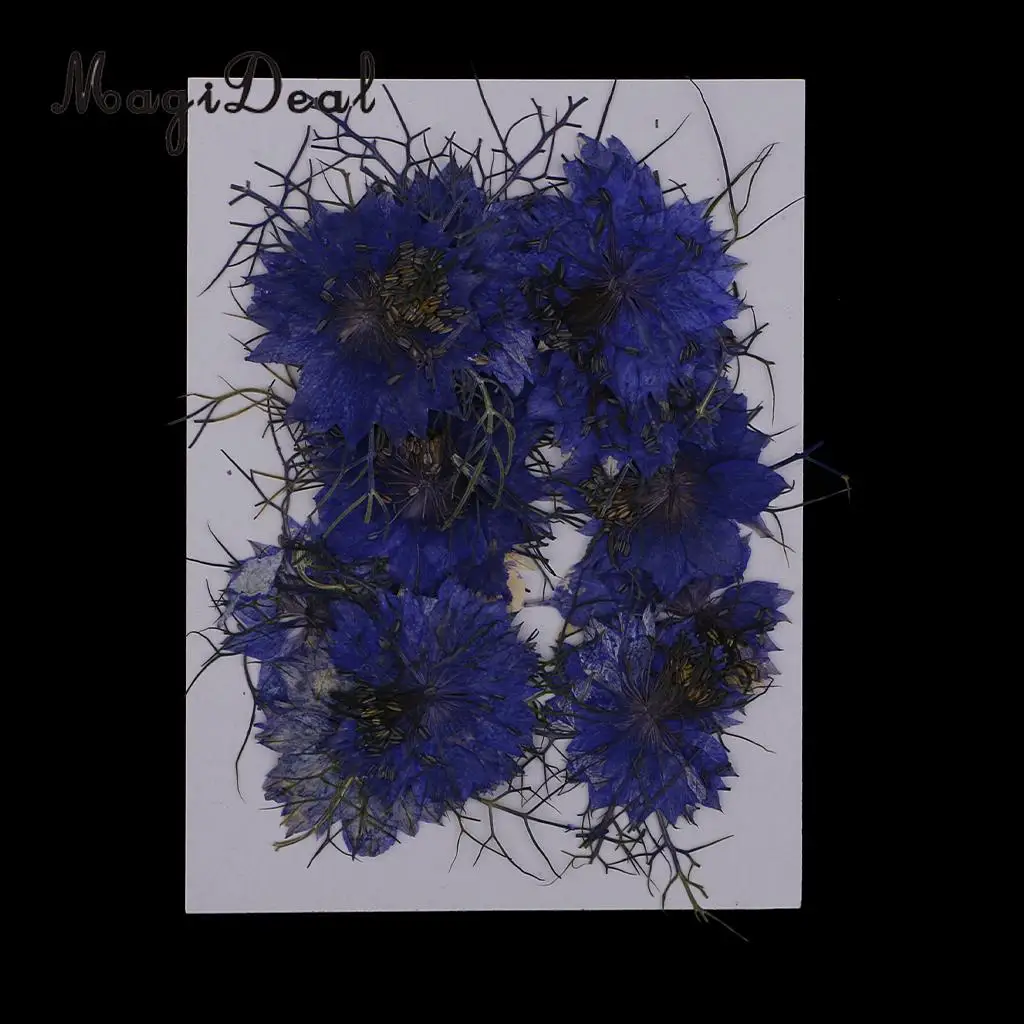 12pcs Love-in-a-mist Natural Pressed Real Dried Flower for Craft DIY Resin Ornaments