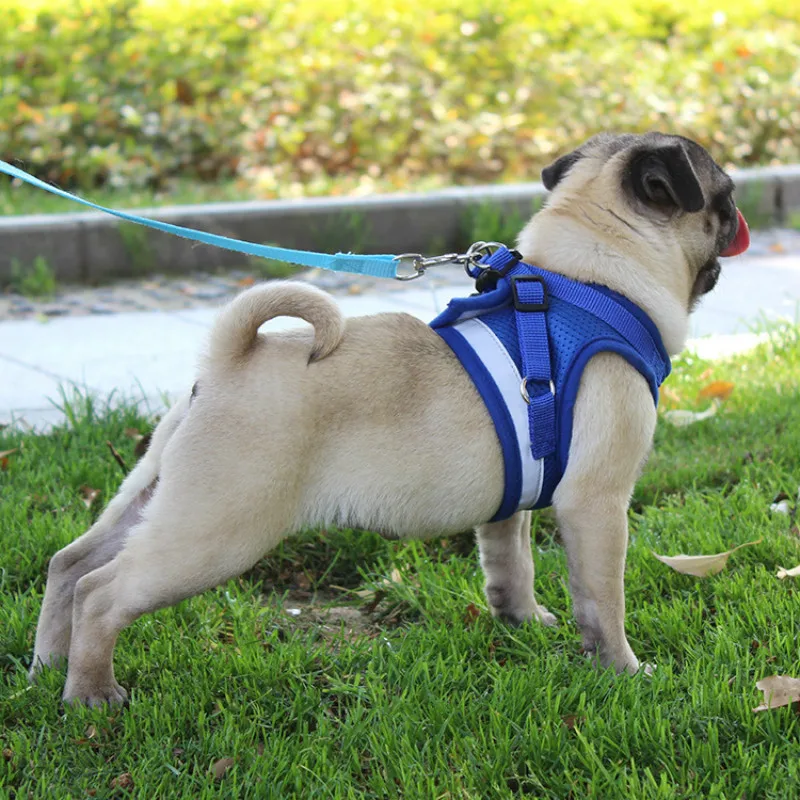 puppy chest harness