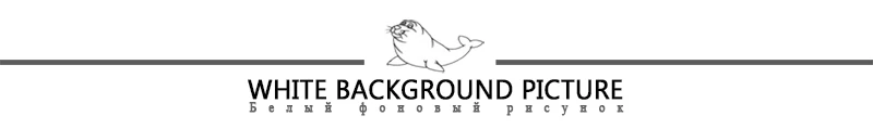 LAZYSEAL White background picture