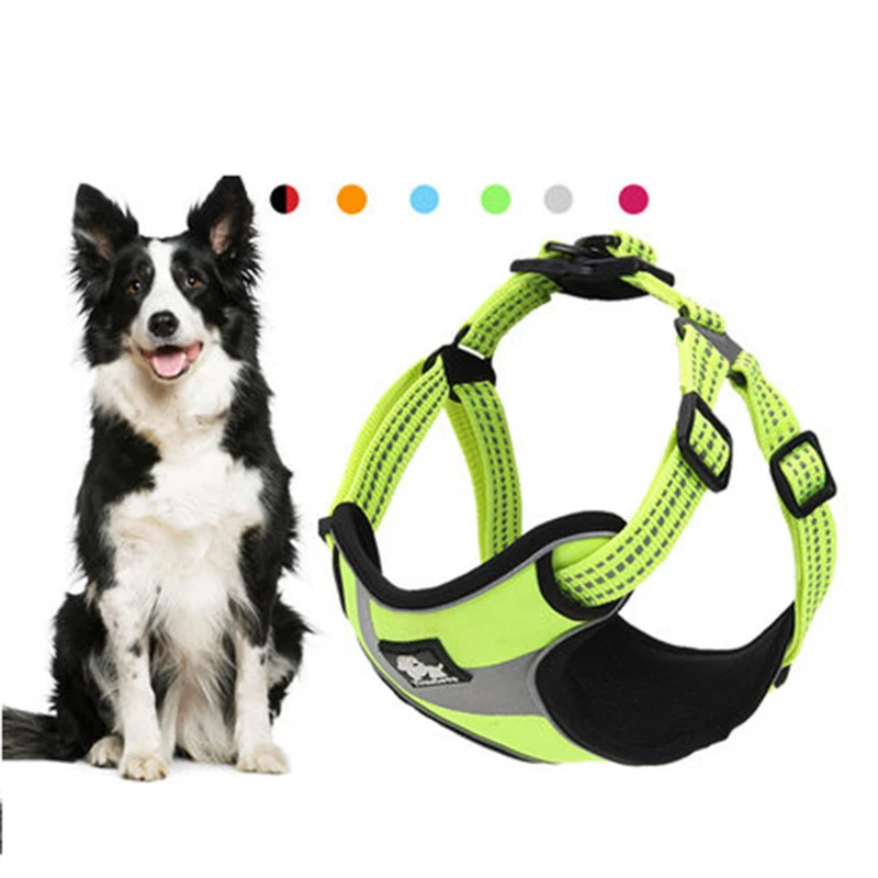 puppy collar set (1)