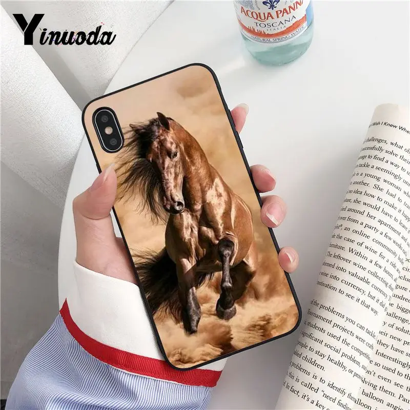 Animal Horse