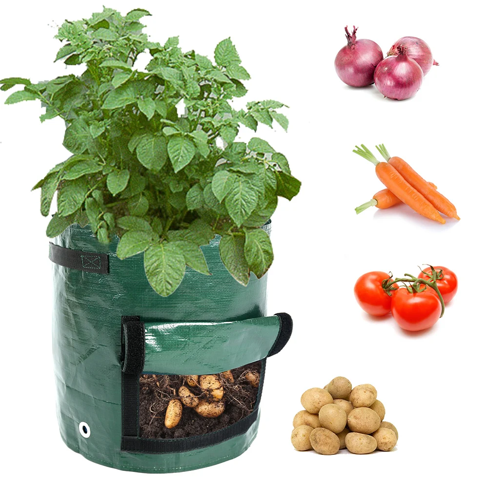 

UV Protection PE Planting Grow Bag Vegetables Planter Bags for Growing Potato Tomato Vegetable Garden Grow Bag with Handles