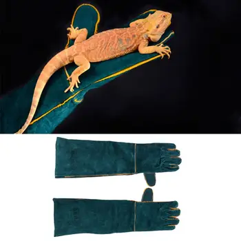 

Reptile Anti-bite/scratch Gloves Safe Breathable Grooming Gloves Snake Parrot Lizard Wild Animals
