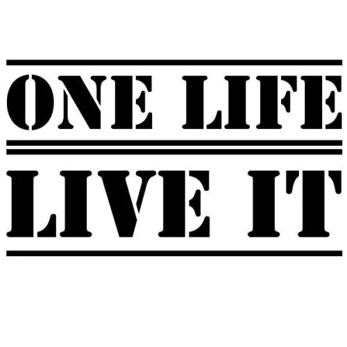 Для One Life Live It глянцевая виниловая Автомобильная наклейка внедорожный VW