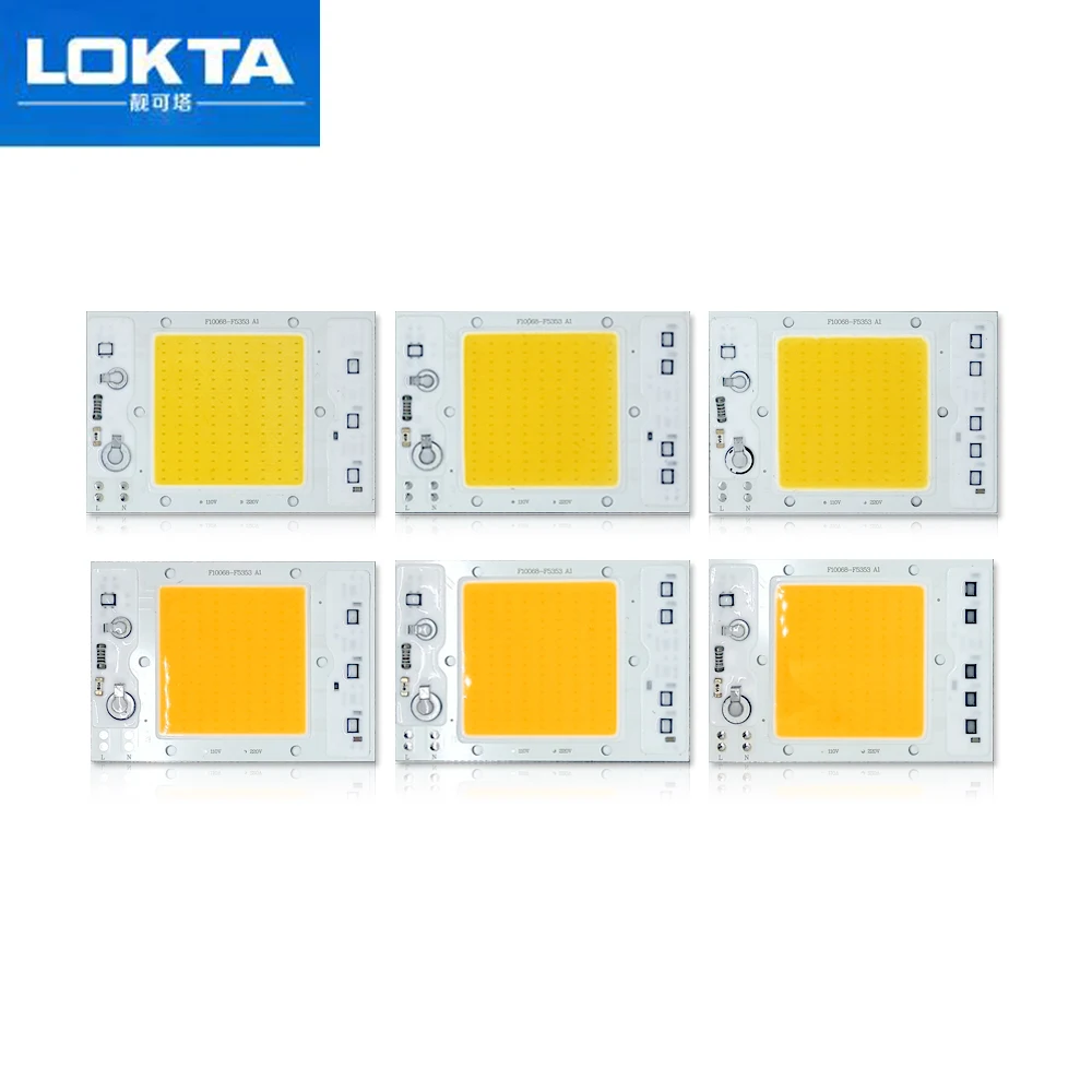 

10 PCS LED Chip Lamp 30W 40W 50W AC 110V 220V Smart IC Fit For DIY Floodlight Spotlight Streetlight White WarmWhite