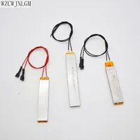 Шт. 1 шт. с подогревом Нагреватель для инкубатора для DIY инкубатор аксессуары нагревательный элемент запасные части для инкубатора 220V 110V 12 В в
