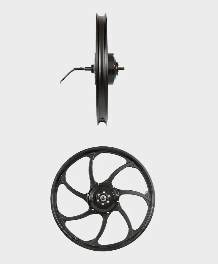 20inch hub motor wheel (7)