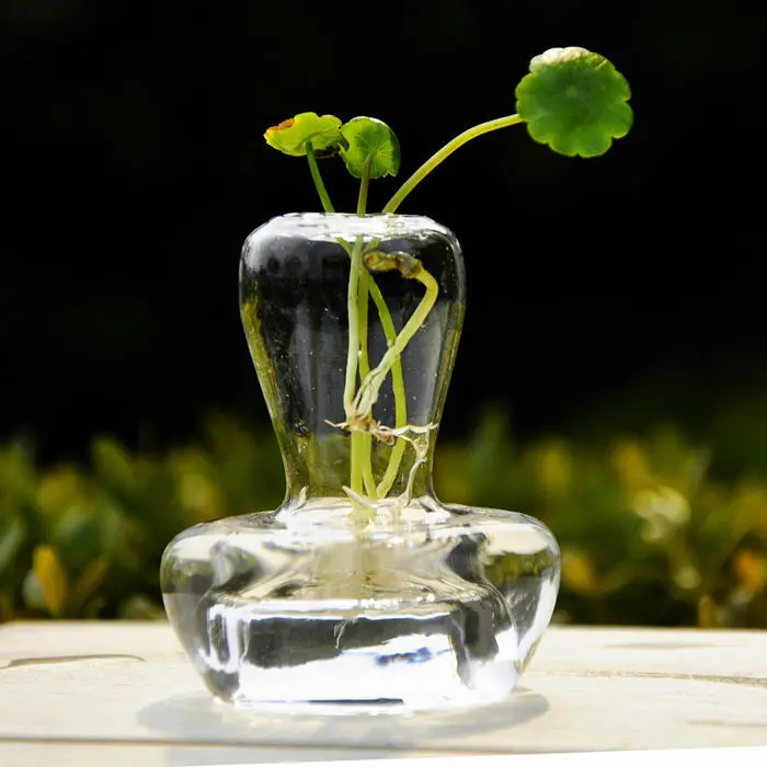 O. RoseLif гидропонная форма гриба стеклянная ваза для цветов свадебное украшение аквариум Свадебное приглашение