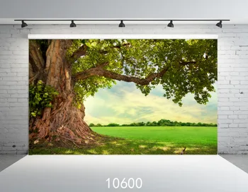 

Photographic Backgrounds Children Wedding GreenTree Grassland Photo Backdrops Vinyl Background For Photo Studio Fundo Fotografia