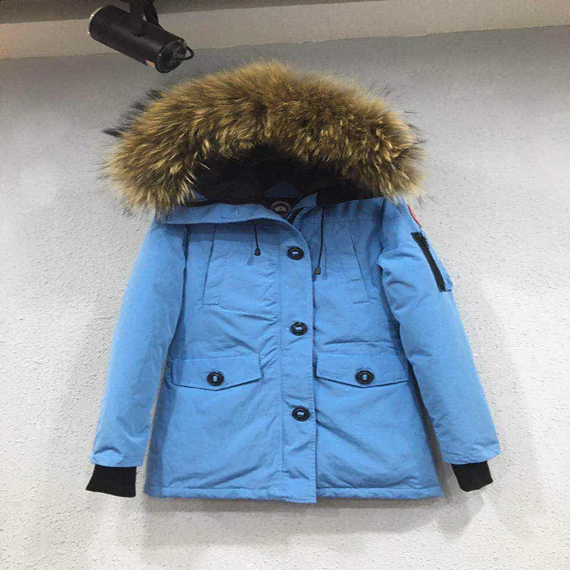 

The new winter 2016 pure color show thin type conventional grey goose down jacket female clothing