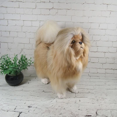big pekingese