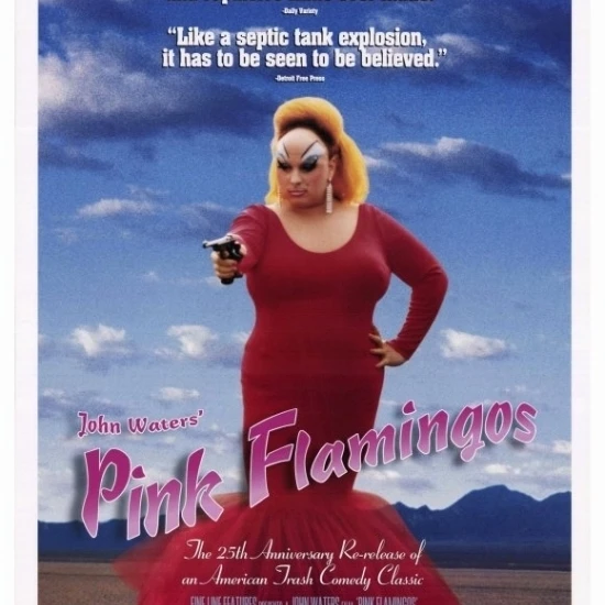 Pink Flamingos Movie Poster (27 x 40)