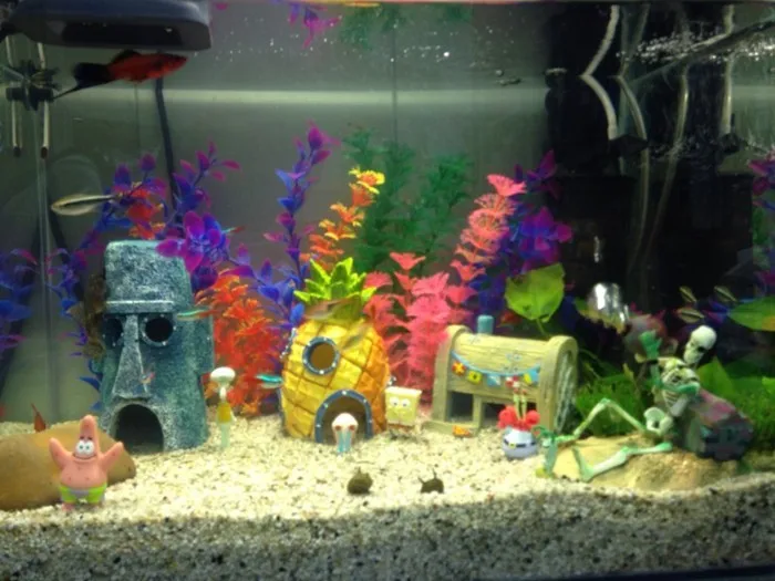 UT8f4gNXd4aXXagOFbX6