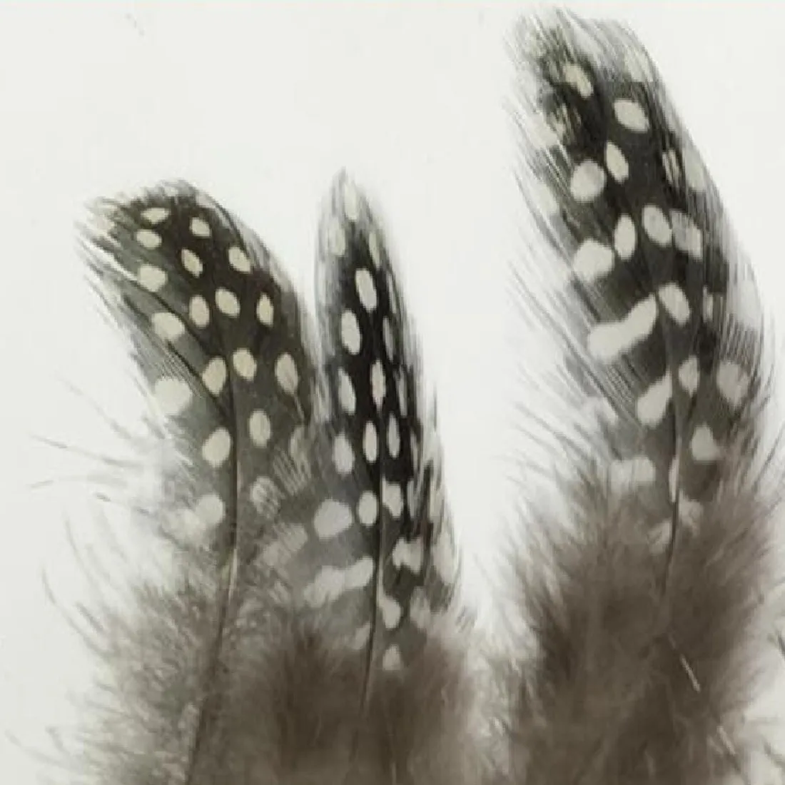 

Best Sale 10PCS Original Color Pearl Shaped Feather 5-10cm Clothings Decoration Plumage Accessories Chicken Lovely Decorative