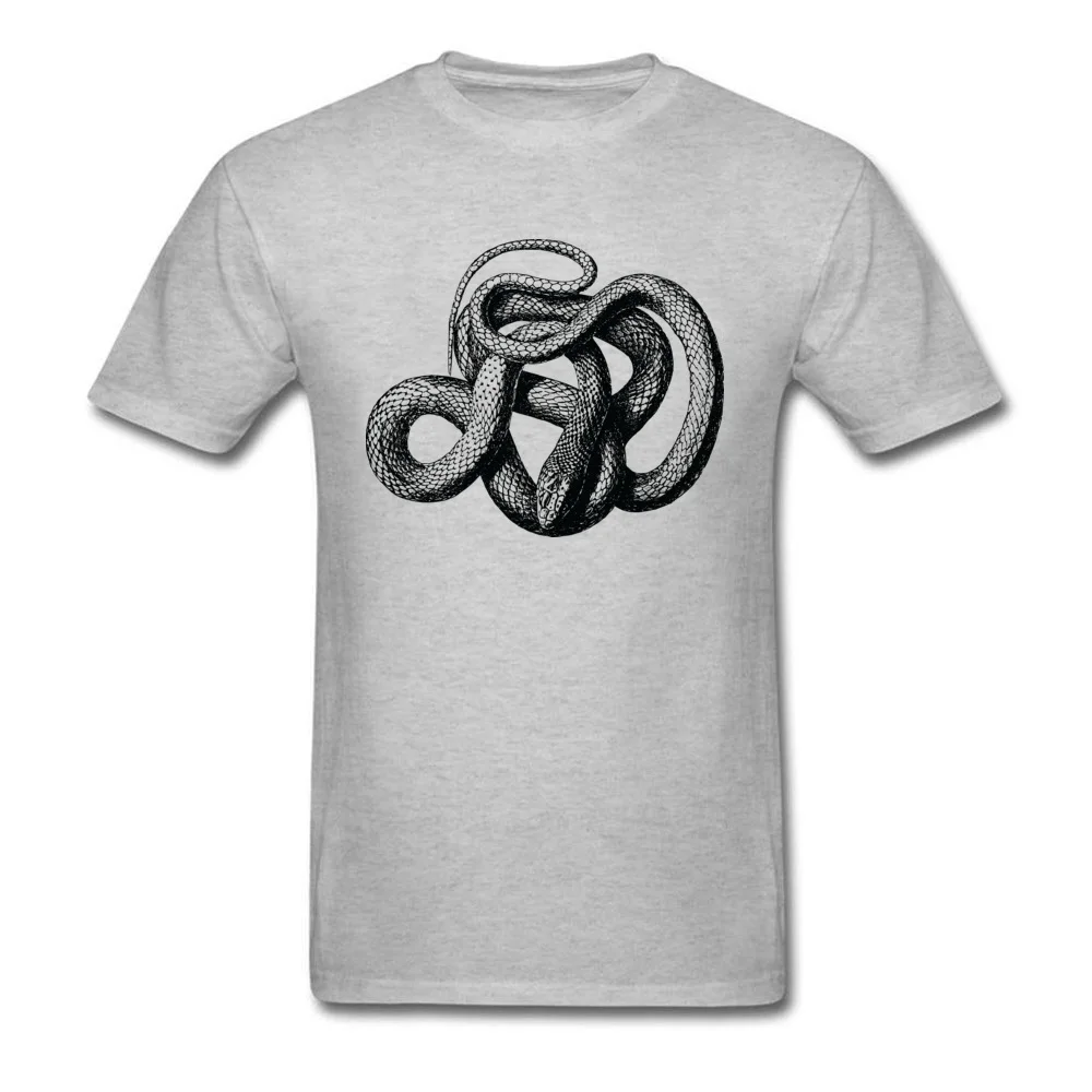 1486-Free-Clipart-Of-A-Snake_grey